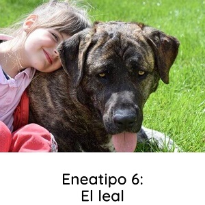 eneatipo 6 el leal, eneagrama tipo 6