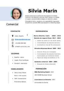 Curriculum Vitae Básico | Muestra lo Esencial