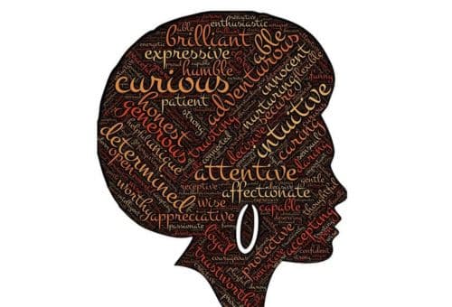 perfil profesional para CV